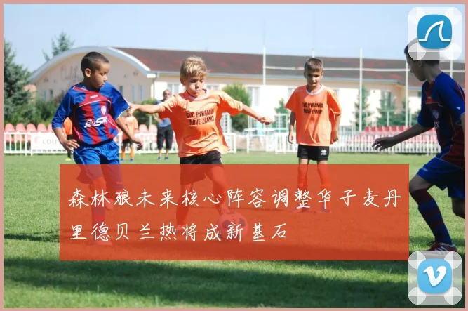 森林狼未来核心阵容调整华子麦丹里德贝兰热将成新基石
